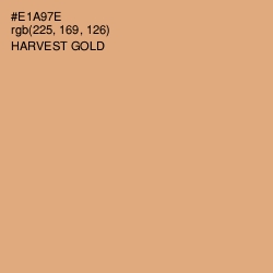 #E1A97E - Harvest Gold Color Image